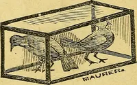 Picture 89 of 153 from Illustrated descriptive price-list of magical apparatus and illusions .. (1884), leaf 59