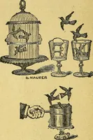 Picture 118 of 153 from Illustrated descriptive price-list of magical apparatus and illusions .. (1884), leaf 83