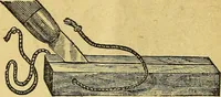 An illustration from Illustrated descriptive price-list of magical apparatus and illusions .. (1884)