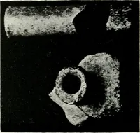 An illustration from Illustrated descriptive account of the Museum of Andalucian pottery and lace, antique and modern : together with notes on pre-Roman Seville and the lost city of Tharsis (1913)