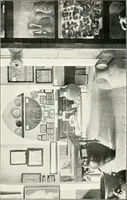 An illustration from Illustrated descriptive account of the Museum of Andalucian pottery and lace, antique and modern : together with notes on pre-Roman Seville and the lost city of Tharsis (1913)