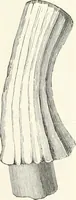 Picture 178 of 498 from An illustrated dictionary of words used in art and archaeology. Explaining terms frequently used in works on architecture, arms, bronzes, Christian art, colour, costume, decoration, devices, emblems, heraldry, lace, personal ornaments, pottery, painting, sculpture, &c., with their derivations (1883), leaf 124