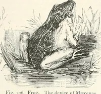 Picture 236 of 498 from An illustrated dictionary of words used in art and archaeology. Explaining terms frequently used in works on architecture, arms, bronzes, Christian art, colour, costume, decoration, devices, emblems, heraldry, lace, personal ornaments, pottery, painting, sculpture, &c., with their derivations (1883), leaf 158