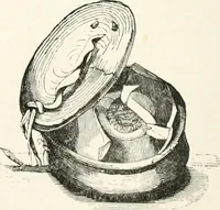 An illustration from An illustrated dictionary of words used in art and archaeology. Explaining terms frequently used in works on architecture, arms, bronzes, Christian art, colour, costume, decoration, devices, emblems, heraldry, lace, personal ornaments, pottery, painting, sculpture, &c., with their derivations (1883)