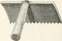 An illustration from An illustrated dictionary of words used in art and archaeology. Explaining terms frequently used in works on architecture, arms, bronzes, Christian art, colour, costume, decoration, devices, emblems, heraldry, lace, personal ornaments, pottery, painting, sculpture, &c., with their derivations (1883)
