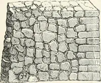 An illustration from An illustrated dictionary of words used in art and archaeology. Explaining terms frequently used in works on architecture, arms, bronzes, Christian art, colour, costume, decoration, devices, emblems, heraldry, lace, personal ornaments, pottery, painting, sculpture, &c., with their derivations (1883)