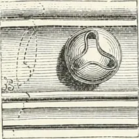 An illustration from An illustrated dictionary of words used in art and archaeology. Explaining terms frequently used in works on architecture, arms, bronzes, Christian art, colour, costume, decoration, devices, emblems, heraldry, lace, personal ornaments, pottery, painting, sculpture, &c., with their derivations (1883)