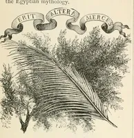 Picture 167 of 503 from An illustrated dictionary of words used in art and archaeology. Explaining terms frequently used in works on architecture, arms, bronzes, Christian art, colour, costume, decoration, devices, emblems, heraldry, lace, personal ornaments, pottery, painting, sculpture, &c, with their derivations (1883), leaf 120