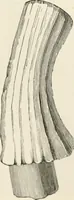 Picture 180 of 503 from An illustrated dictionary of words used in art and archaeology. Explaining terms frequently used in works on architecture, arms, bronzes, Christian art, colour, costume, decoration, devices, emblems, heraldry, lace, personal ornaments, pottery, painting, sculpture, &c, with their derivations (1883), leaf 130