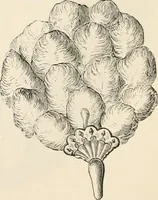 An illustration from An illustrated dictionary of words used in art and archaeology. Explaining terms frequently used in works on architecture, arms, bronzes, Christian art, colour, costume, decoration, devices, emblems, heraldry, lace, personal ornaments, pottery, painting, sculpture, &c, with their derivations (1883)