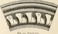 Picture 222 of 503 from An illustrated dictionary of words used in art and archaeology. Explaining terms frequently used in works on architecture, arms, bronzes, Christian art, colour, costume, decoration, devices, emblems, heraldry, lace, personal ornaments, pottery, painting, sculpture, &c, with their derivations (1883), leaf 157