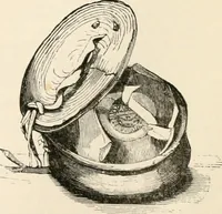 Picture 264 of 503 from An illustrated dictionary of words used in art and archaeology. Explaining terms frequently used in works on architecture, arms, bronzes, Christian art, colour, costume, decoration, devices, emblems, heraldry, lace, personal ornaments, pottery, painting, sculpture, &c, with their derivations (1883), leaf 181