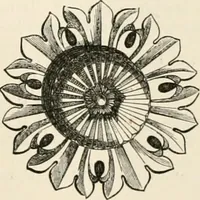 Picture 288 of 503 from An illustrated dictionary of words used in art and archaeology. Explaining terms frequently used in works on architecture, arms, bronzes, Christian art, colour, costume, decoration, devices, emblems, heraldry, lace, personal ornaments, pottery, painting, sculpture, &c, with their derivations (1883), leaf 202