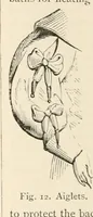 Picture 14 of 503 from An illustrated dictionary of words used in art and archaeology. Explaining terms frequently used in works on architecture, arms, bronzes, Christian art, colour, costume, decoration, devices, emblems, heraldry, lace, personal ornaments, pottery, painting, sculpture, &c, with their derivations (1883), leaf 21