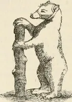 Picture 410 of 503 from An illustrated dictionary of words used in art and archaeology. Explaining terms frequently used in works on architecture, arms, bronzes, Christian art, colour, costume, decoration, devices, emblems, heraldry, lace, personal ornaments, pottery, painting, sculpture, &c, with their derivations (1883), leaf 290