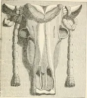 An illustration from An illustrated dictionary of words used in art and archaeology. Explaining terms frequently used in works on architecture, arms, bronzes, Christian art, colour, costume, decoration, devices, emblems, heraldry, lace, personal ornaments, pottery, painting, sculpture, &c, with their derivations (1883)