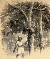 An illustration from The illustrated family Christian almanac for the United States, for the year of our Lord and Saviour Jesus Christ, 1867 (1866)