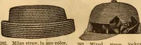 An illustration from Illustrated fashion catalogue : summer, 1890 (1890)