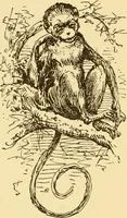 An illustration from Illustrated homes: a series of papers describing real houses and real people (1875)