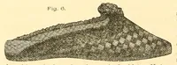 Picture 4 of 18 from Illustrated instruction book for the Bickford family knitting machine (1873), leaf 40