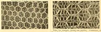 Picture 9 of 18 from Illustrated instruction book for the Bickford family knitting machine (1873), leaf 56