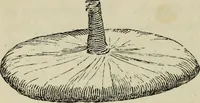 An illustration from The illustrated London drawing book ... (1853)