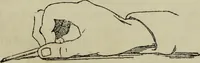 An illustration from The illustrated London drawing book ... (1853)