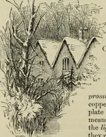 An illustration from The illustrated London drawing book ... (1853)