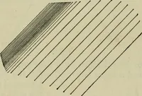 An illustration from The illustrated London drawing book ... (1853)