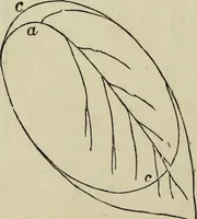 An illustration from The illustrated London drawing book ... (1853)