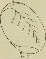 An illustration from The illustrated London drawing book ... (1853)