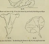 An illustration from The illustrated London drawing book ... (1853)