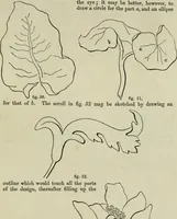 An illustration from The illustrated London drawing book ... (1853)