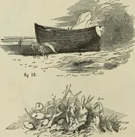 An illustration from The illustrated London drawing book ... (1853)