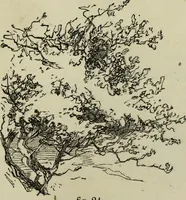 An illustration from The illustrated London drawing book ... (1853)