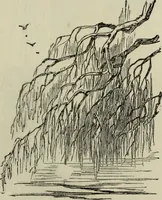 An illustration from The illustrated London drawing book ... (1853)