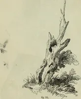 An illustration from The illustrated London drawing book ... (1853)