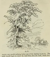 An illustration from The illustrated London drawing book ... (1853)
