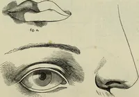 An illustration from The illustrated London drawing book ... (1853)
