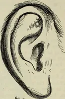 An illustration from The illustrated London drawing book ... (1853)