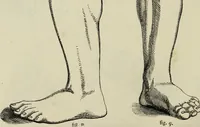 An illustration from The illustrated London drawing book ... (1853)