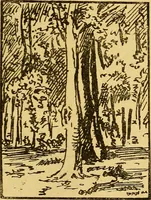 An illustration from Illustrated notes upon the pictures in the Dramatic Fine Art Gallery, 1880. (1880)