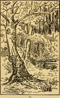 An illustration from Illustrated notes upon the pictures in the Dramatic Fine Art Gallery, 1880. (1880)
