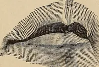 An illustration from Illustrated physiognomy (1879)