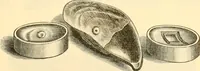 Picture 84 of 193 from Illustrated price list of artists' materials : comprising a complete list of painting and drawing materials for artists... materials for gilders, sign and coach-painters; etcher's and engravers' tools; also, materials for making wax and paper flowers. (1888), leaf 110