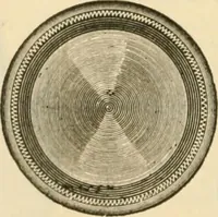 Picture 147 of 193 from Illustrated price list of artists' materials : comprising a complete list of painting and drawing materials for artists... materials for gilders, sign and coach-painters; etcher's and engravers' tools; also, materials for making wax and paper flowers. (1888), leaf 205
