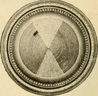 Picture 148 of 193 from Illustrated price list of artists' materials : comprising a complete list of painting and drawing materials for artists... materials for gilders, sign and coach-painters; etcher's and engravers' tools; also, materials for making wax and paper flowers. (1888), leaf 205