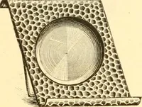 Picture 149 of 193 from Illustrated price list of artists' materials : comprising a complete list of painting and drawing materials for artists... materials for gilders, sign and coach-painters; etcher's and engravers' tools; also, materials for making wax and paper flowers. (1888), leaf 206