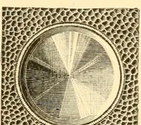 Picture 150 of 193 from Illustrated price list of artists' materials : comprising a complete list of painting and drawing materials for artists... materials for gilders, sign and coach-painters; etcher's and engravers' tools; also, materials for making wax and paper flowers. (1888), leaf 206