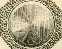 Picture 151 of 193 from Illustrated price list of artists' materials : comprising a complete list of painting and drawing materials for artists... materials for gilders, sign and coach-painters; etcher's and engravers' tools; also, materials for making wax and paper flowers. (1888), leaf 207